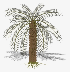 Palm-02 Clip Arts - Pohon Kurma Vector, HD Png Download, Free Download