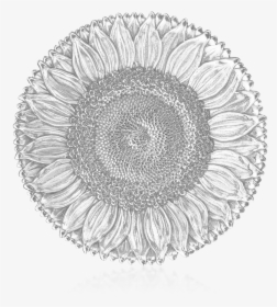 Buccellati - Bowls - Sunflower - Bowls - Buccellati Sunflower Bowl, HD Png Download, Free Download