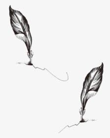 Peacock Feather Tattoos Png, Transparent Png, Free Download