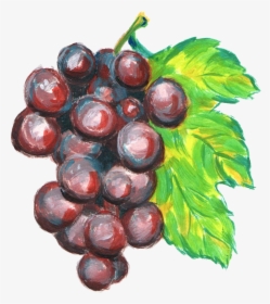 Grapes Drawing Watercolor - Grapes Drawing With Watercolor, HD Png Download, Free Download