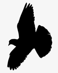 Pigeon - Pigeon Silhouette Pigeon Vector Png, Transparent Png, Free Download