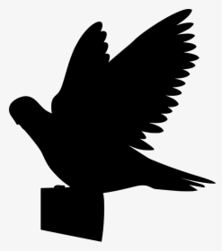 Flying Pigeon Clipart, HD Png Download, Free Download