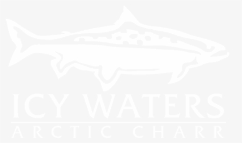 Pacific Sturgeon, HD Png Download, Free Download