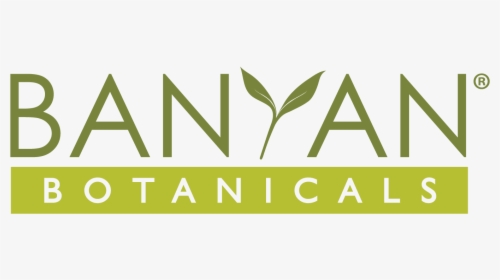 Banyan Png, Transparent Png, Free Download