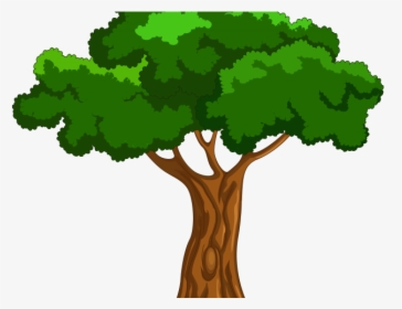 Banyan Tree Clipart Hd Wallpaper - Transparent Background Tree Clipart, HD Png Download, Free Download