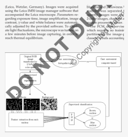 Diagram, HD Png Download, Free Download