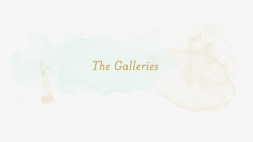 Thegalleries Maryngraves -2 - Constantia Font, HD Png Download, Free Download