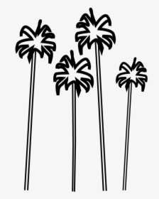 Sabal Palmetto, HD Png Download, Free Download