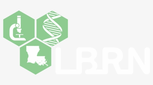 Lbrn Logo - Lbrn, HD Png Download, Free Download