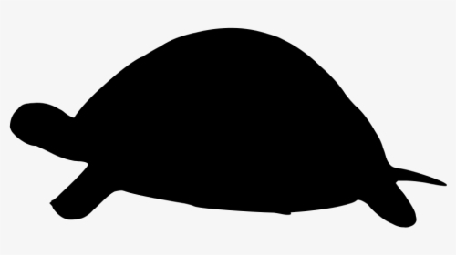 Save Png Turtle - Outline Of A Turtle, Transparent Png, Free Download