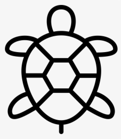 Turtle - Free Turtle Svg Files, HD Png Download, Free Download