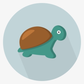 Turtle Flat Icon, HD Png Download, Free Download