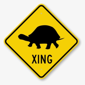 Turtle Xing Sign, HD Png Download, Free Download