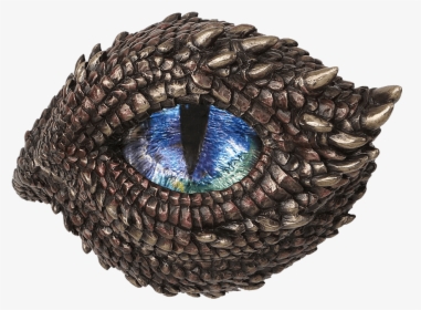 Scaly Dragons Eye Trinket Box - Dragon, HD Png Download, Free Download