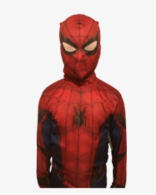 Spiderman Standing Up, HD Png Download, Free Download