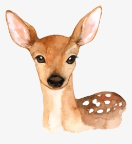 Hand Painted A Cute Deer Png Transparent - Watercolor Woodland Animals Png, Png Download, Free Download