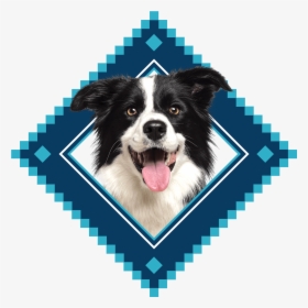 Placeholder Image - Blue Buffalo Pet Food Logo, HD Png Download, Free Download