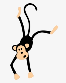 Png Monkey Vector Download Free - Clipart Animals Transparent, Png Download, Free Download