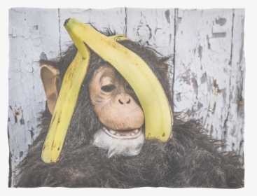 Smile Like A Monkey With A New Banana, HD Png Download, Free Download
