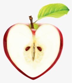 Apple, HD Png Download, Free Download