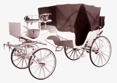 Coach, White, Wedding, Tours, Coachman, Carriage Rides - Kutsche Transparent, HD Png Download, Free Download