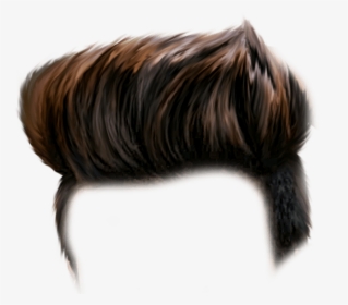 Haircut Png Transparent Images - Hair Png Hd, Png Download, Free Download
