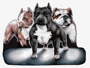 Dog Food For American Bully Philippines, HD Png Download, Free Download