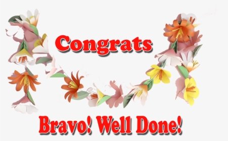 Congrats Bravo Well Done Png Transparent Image - Transparent Well Done, Png Download, Free Download