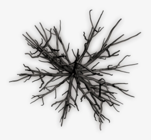 Dead Tree Top View - Tree Top View Png Black And White, Transparent Png, Free Download