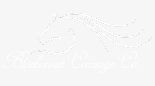 Bluebonnet Carriage Company - Stallion, HD Png Download, Free Download