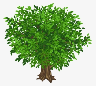 Ð‘ð¾ð»ñœñˆð¾ð¹ Green Tree Ðÿñ - Tree Images Without Background, HD Png Download, Free Download