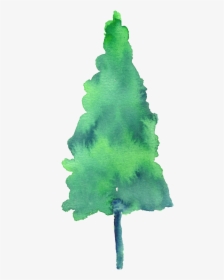 Painted Watercolor Pine Tree Decoration Vector Free - Painted Tree Transparent, HD Png Download, Free Download