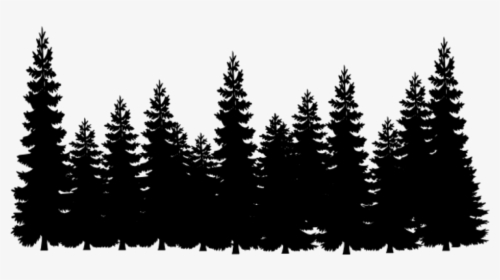 Shortleaf Black Spruce,balsam Fir,lodgepole Pine,tree,oregon - Transparent Pine Tree Silhouette, HD Png Download, Free Download