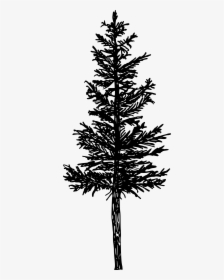 Pine Tree Silhouette Png -free Download - Pine Tree Silhouette Png, Transparent Png, Free Download