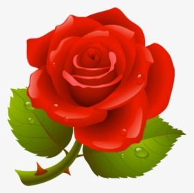 Rose Png - Rose Image Hd Download, Transparent Png, Free Download
