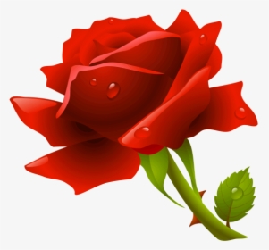 Red Rose Png - Red Roses Png, Transparent Png, Free Download