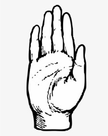 Hand Black And White Black And White Hand Clipart - Clip Art Right Hand, HD Png Download, Free Download