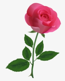 Transparent Rose Png - Pink Roses Transparent Background, Png Download, Free Download