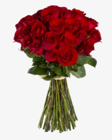 Red Rose Flower Png - Red Rose Flowers For Her, Transparent Png, Free Download