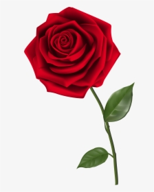 Single Red Rose Png Clipart Image - Transparent Rose Png, Png Download, Free Download