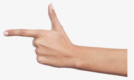One Hand Png Hd Quality - Hand Png, Transparent Png, Free Download