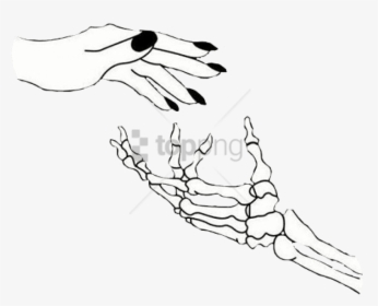 Legs Clipart Skeleton Leg Drawing Cartoon Skeleton Hand Hd Png Download Kindpng