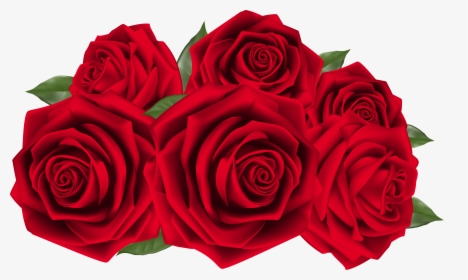 Rose Cliparts Transparent Full Size - Red Roses Hd Png, Png Download, Free Download