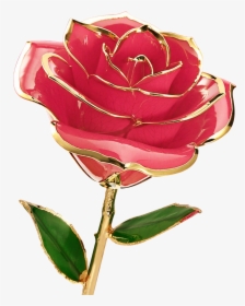 Rose Flower Images Download, HD Png Download, Free Download