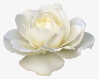 Rose Flower White - White Rose Png Transparent, Png Download, Free Download