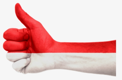 Indonesia Flag Hand, HD Png Download, Free Download