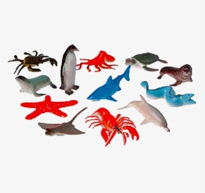 Sea Animals"     Data Rimg="lazy"  Data Rimg Scale="1"  - Sea Animals, HD Png Download, Free Download