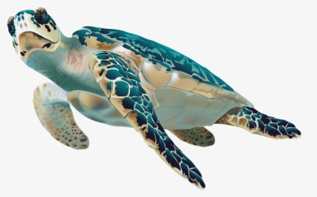 Clip Art Sea Turtle Png - Sea Turtle Transparent Background, Png Download, Free Download