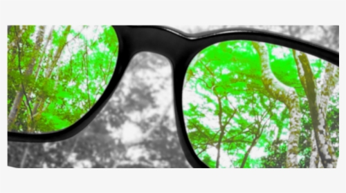 Effect Of Colorblind Glasses - Color Goggles Png Hd, Transparent Png, Free Download