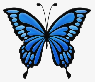 Download Blue Butterfly Clipart Png Photo Transparent, Png Download, Free Download
